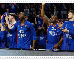 Anadolu Efes takımı