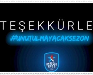 Anadolu Efes Basketbol Takımı
